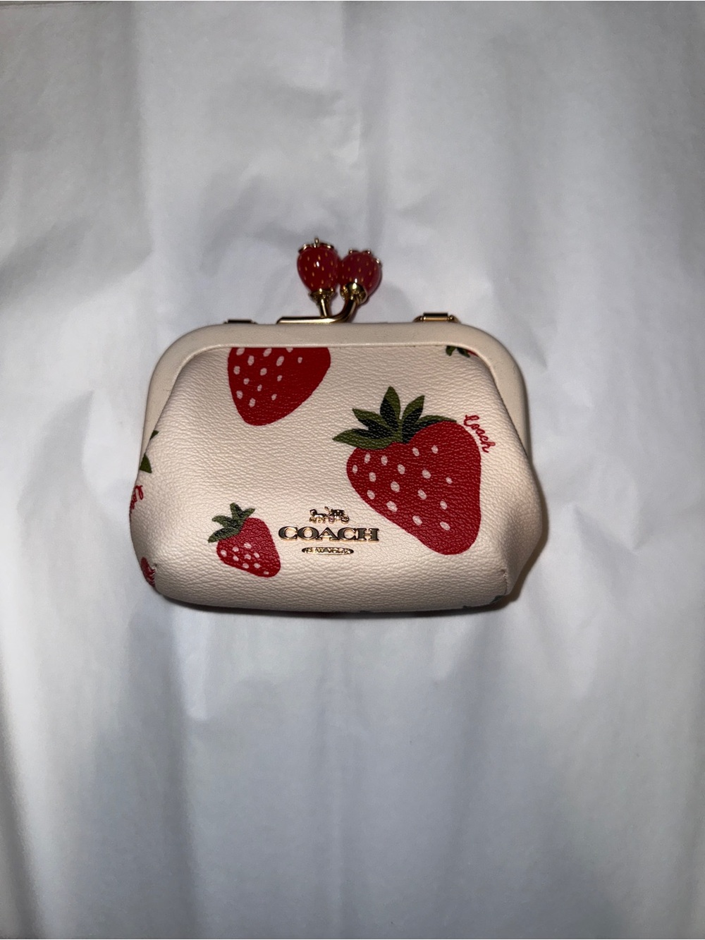 COACH Strawberry Kiss-Lock Coin Purse with Chain - Picture 1 of 6